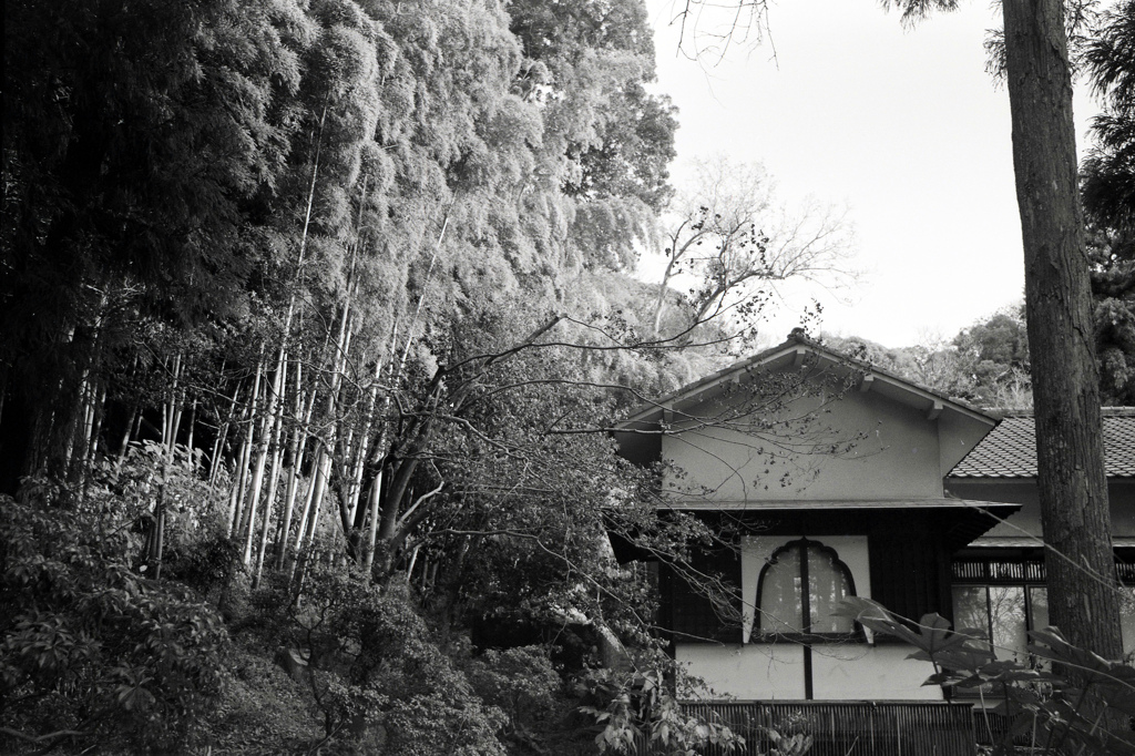 「冬公園」 (film)
