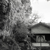 「冬公園」 (film)