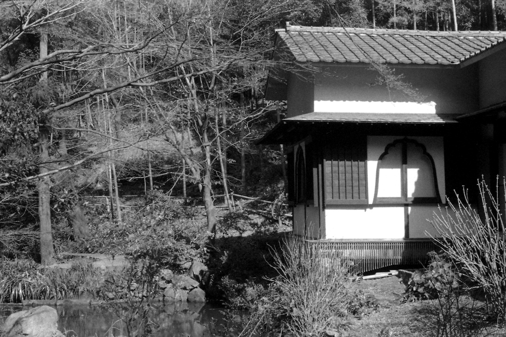 「3/1 久良岐公園 08」 (film)