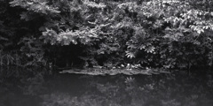 「7/5 公園にて」 (film)