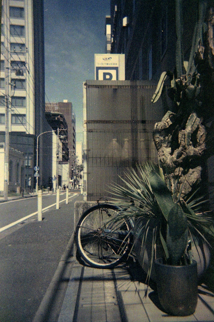 「HAMA snap」 (film)
