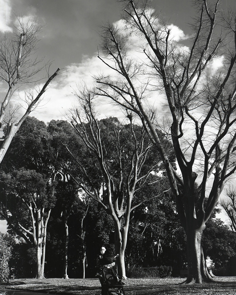 「冬公園」 (film:HR20)