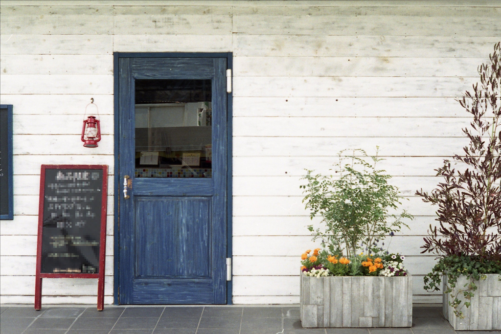 「Salon」 (film)