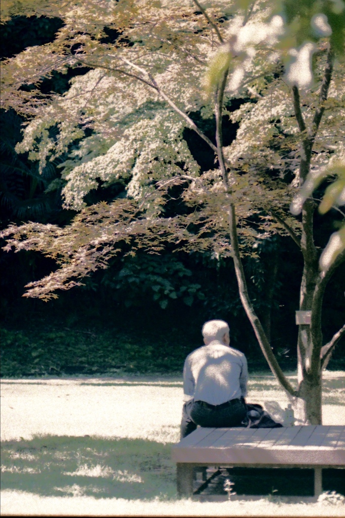 「公園歩き 10/2」 (film)