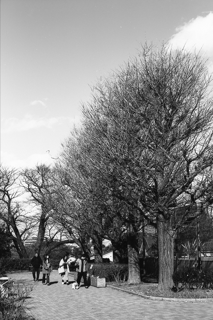 「冬公園」 (Fuji Microfilm HR20)