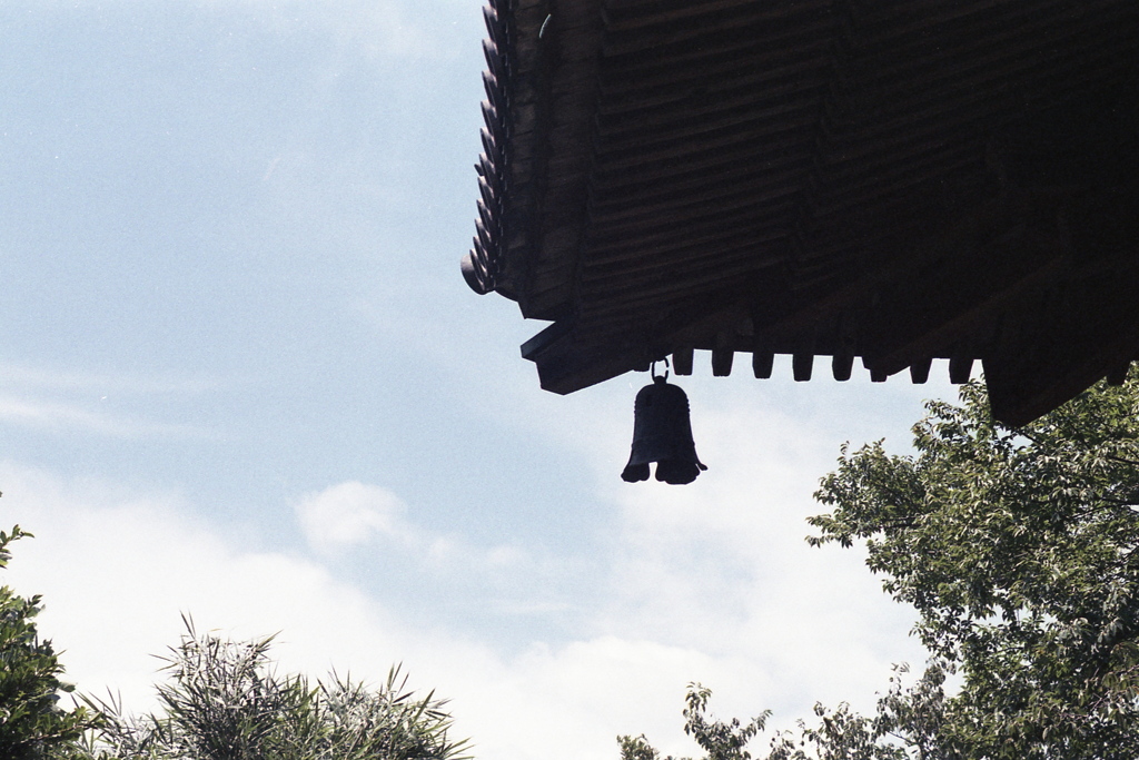 「8/11 三渓園にて」 (film)
