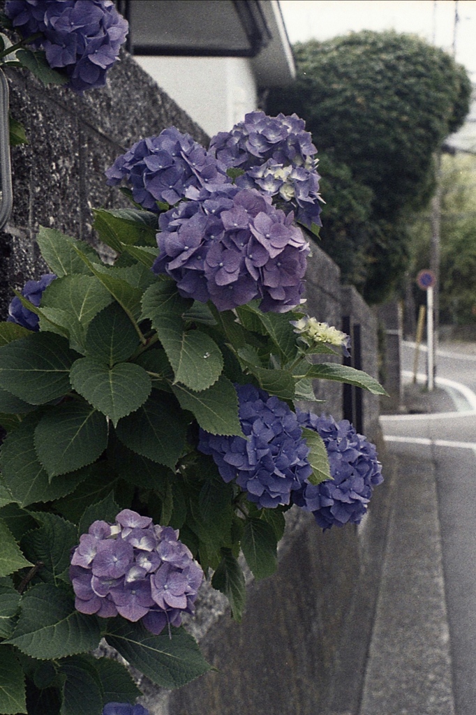 「少し前」 (film)