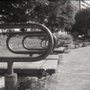 「ベンチs」 (film)