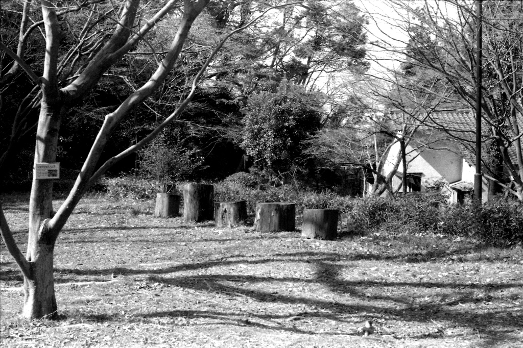 「3/1 久良岐能舞台02」 (film)