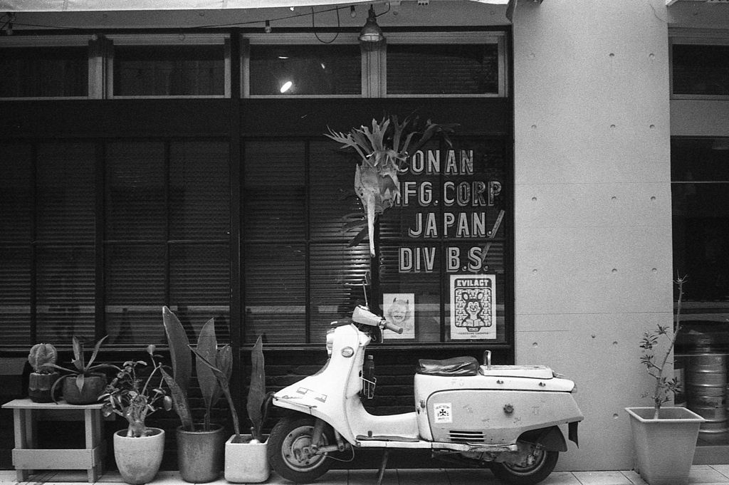 「ラビット（横構図）」 (film)