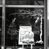 「display」 (film)