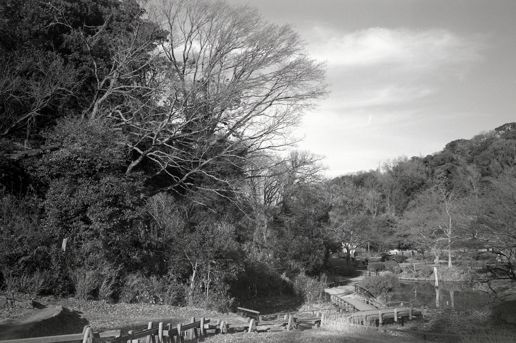 「冬公園」 (film)