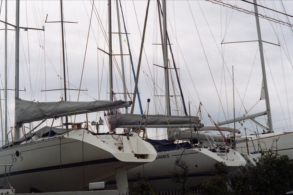 「街角カメラ43」 (film)