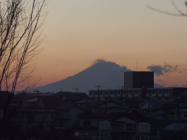 「Fuji from Yokohama」
