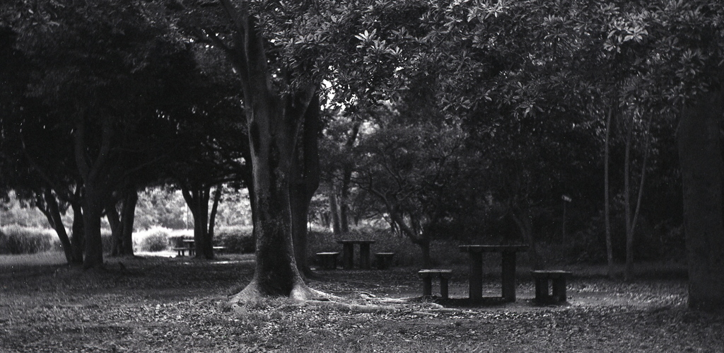 「７/５ 公園にて」 (film)