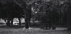「７/５ 公園にて」 (film)