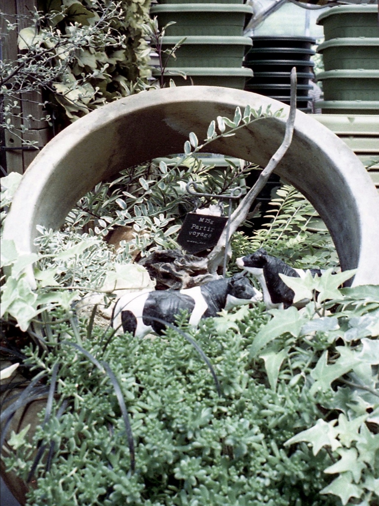 「Gardening Shop」 (film)