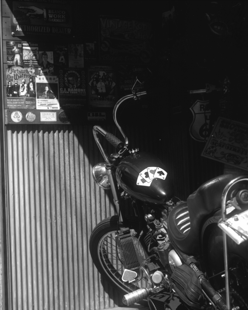 「陽射し」 (film:HR20)