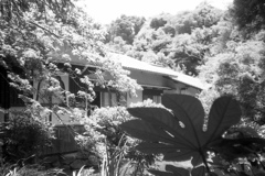 「夏公園」 (film)