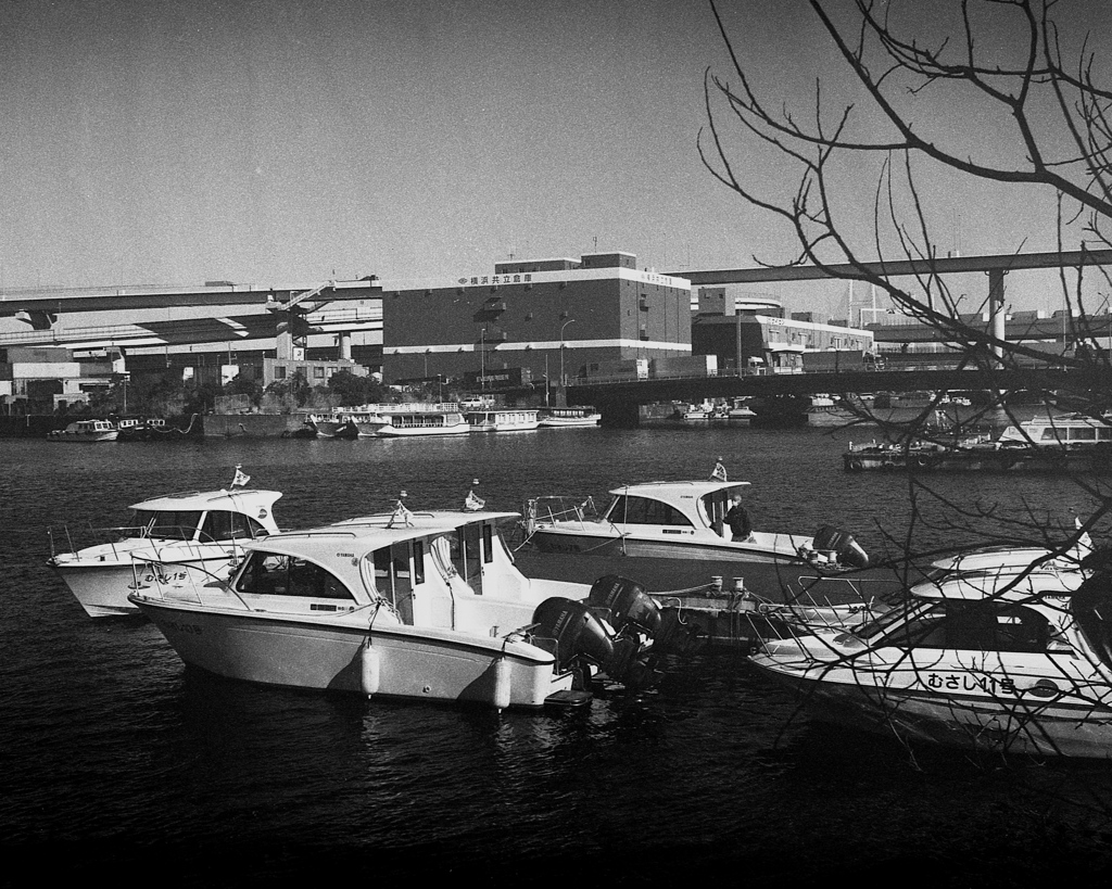 「本牧」 (film)