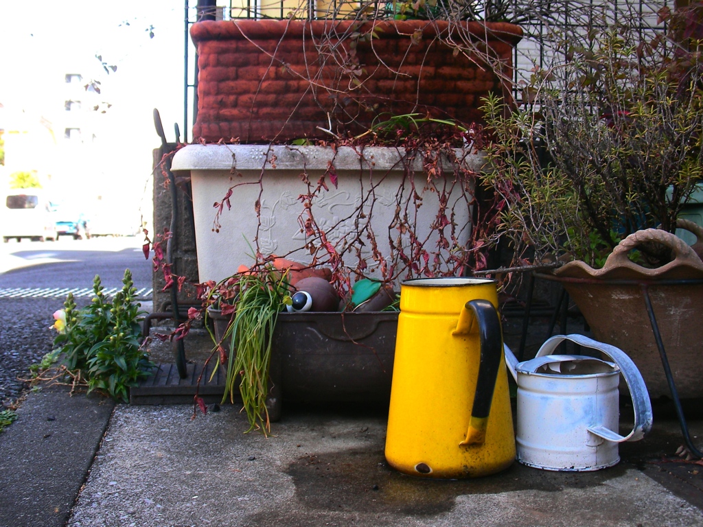 「yellow pot」 (digital)