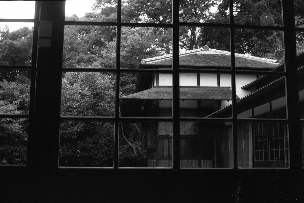 「8/11 三渓園にて」 (film:HR20)