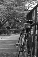 「続・自転車通勤１年記念」 (film)