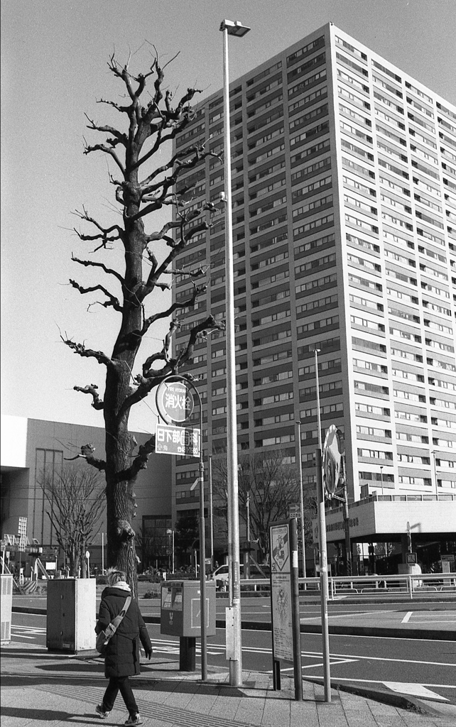 「縦構図」 (film)