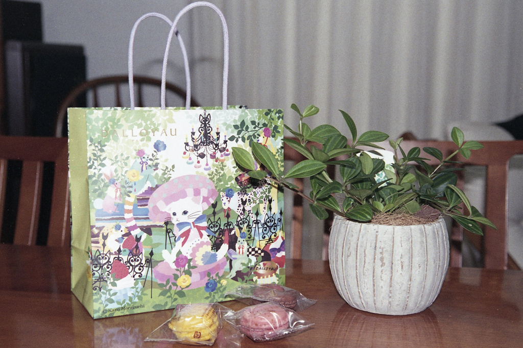 「マカロン」 (film)