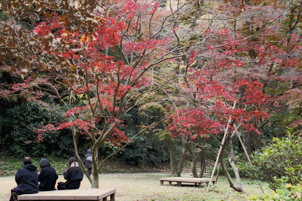 「久良岐能舞台庭」 (film)