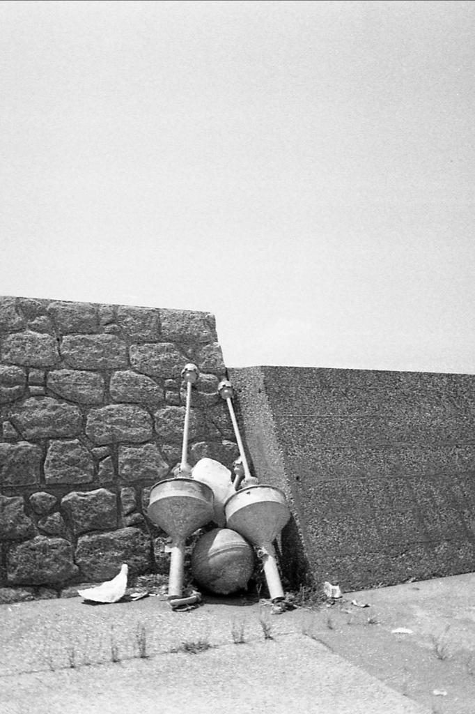 「フロート」 (film)