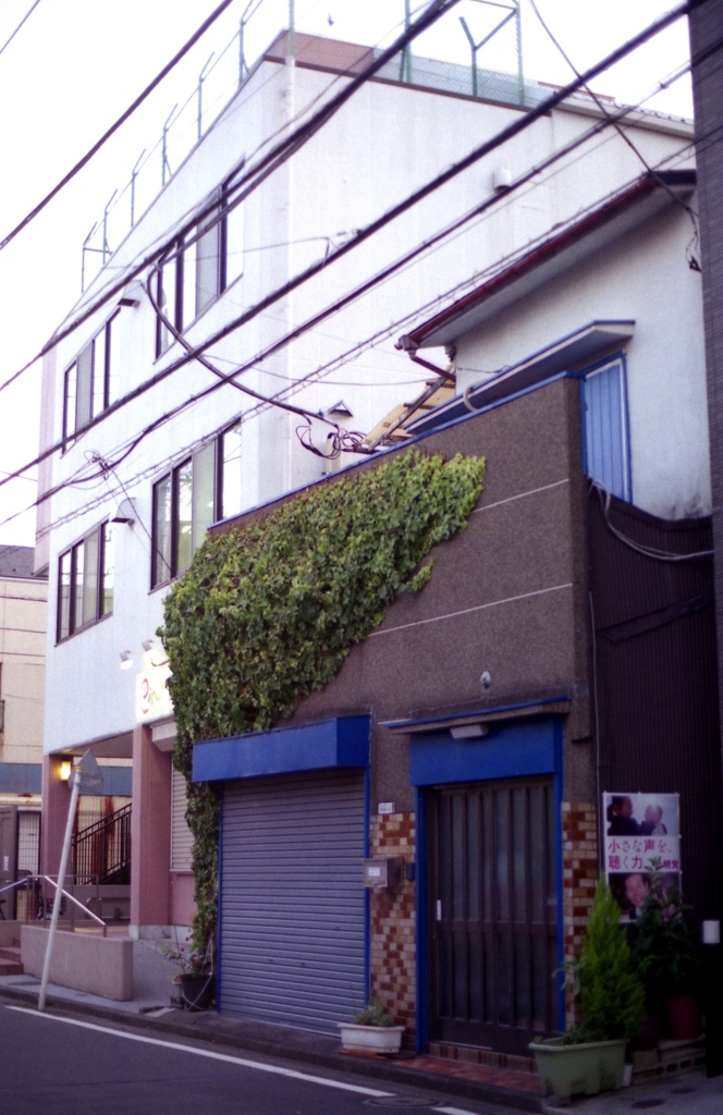 「planter house 03」 (film)