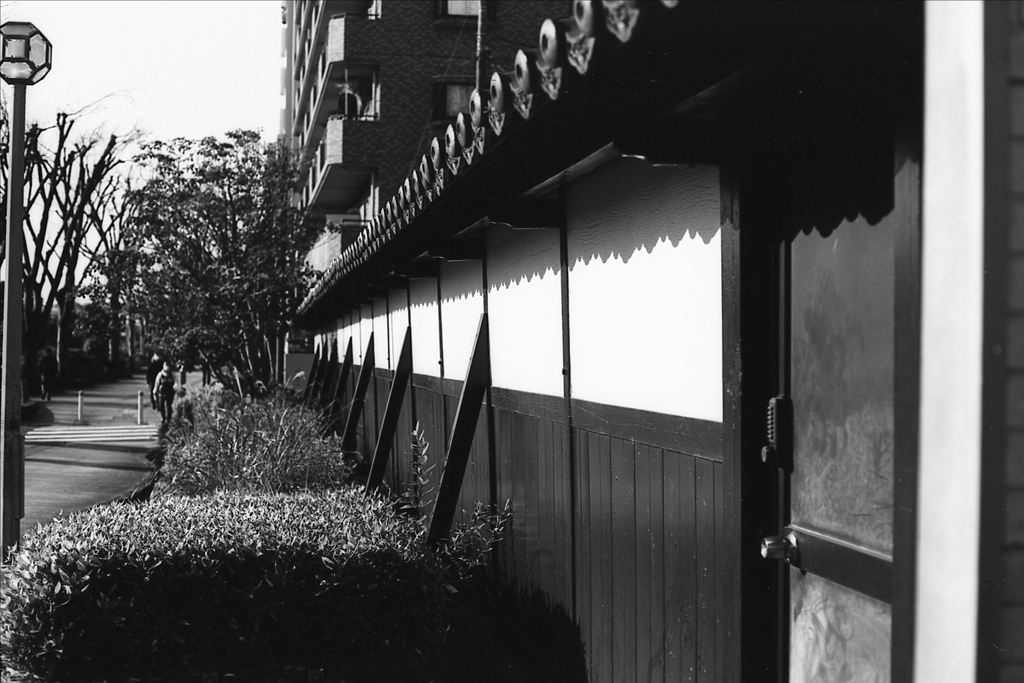 「冬の陽射し」 (Fuji microfilm HR20)