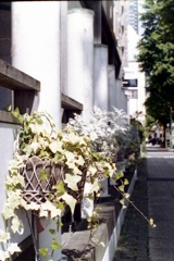 「街角」 (film)