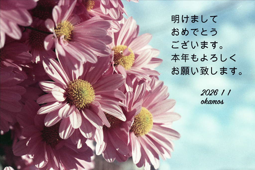 「謹賀新年」 (film)