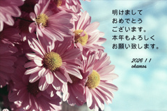 「謹賀新年」 (film)