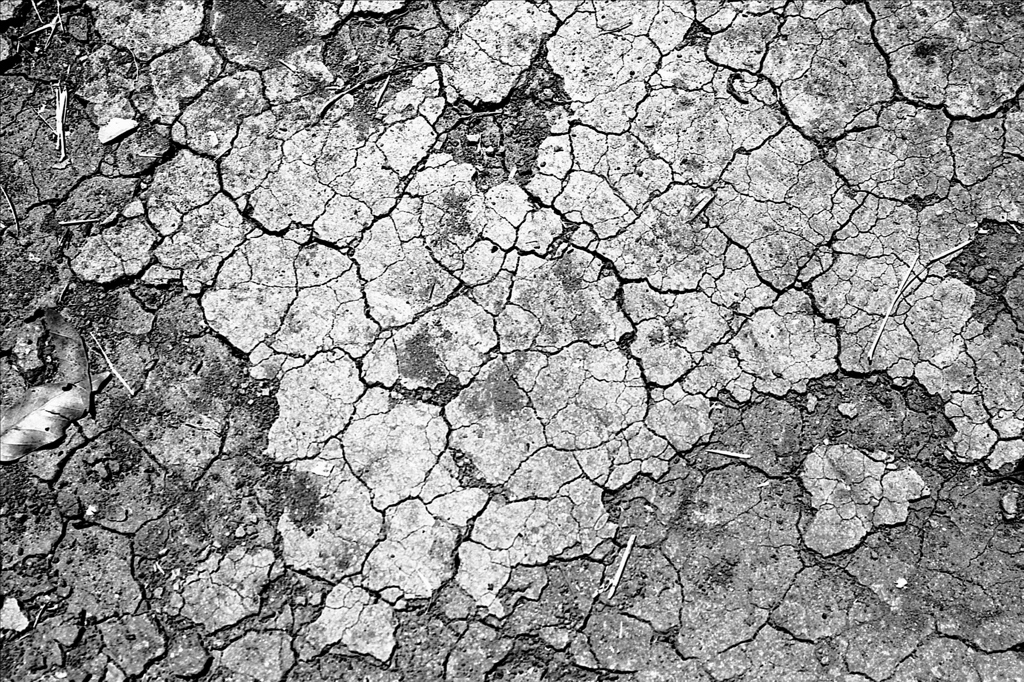 「cracks ①」 (film:HR20)