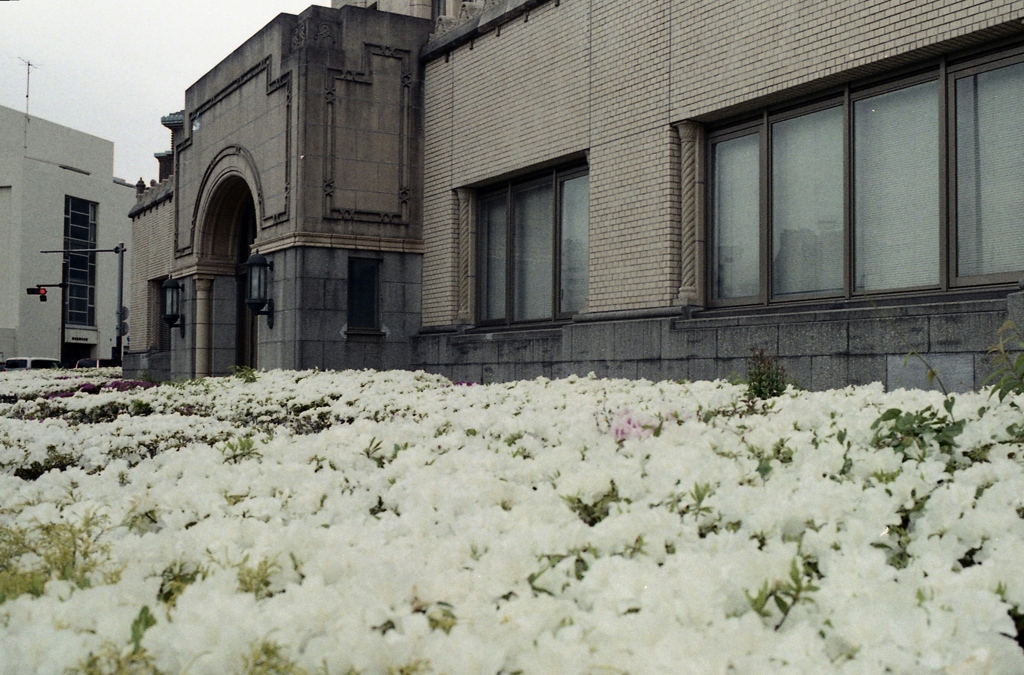 「HAMA snap」 (film)