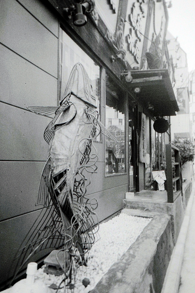 「Fish Scrap」 (film)