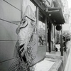 「Fish Scrap」 (film)