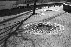 「冬陽」  (film)