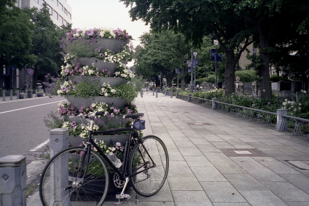 「6/10 街角flower」 (film)