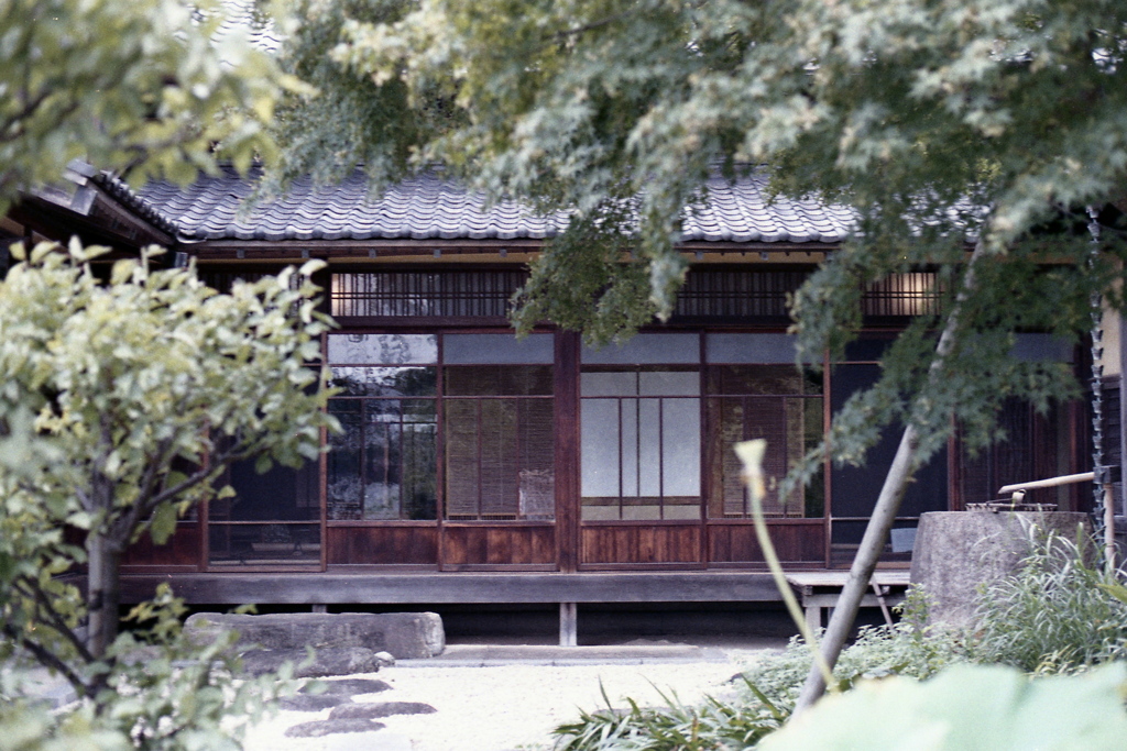 「根岸なつかし公園 旧柳下邸」 (film)