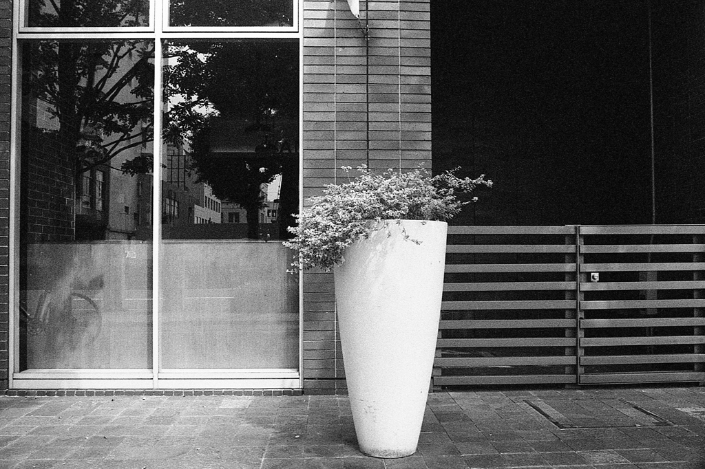 「HAMA snap」 (film)
