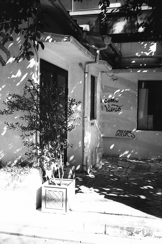 「light and shadow」 (film:HR20)