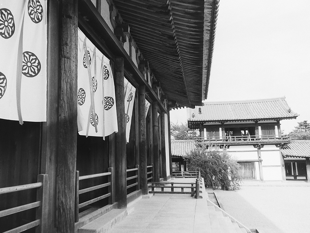 「思い出カメラ09」 (film)