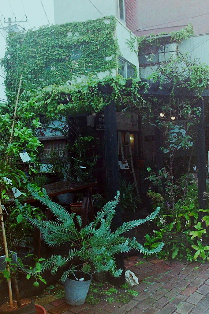 「鎌倉駅周辺で01」(film)