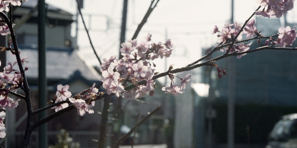 「はる」 (film)