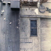 「yokohama snap」 (film)