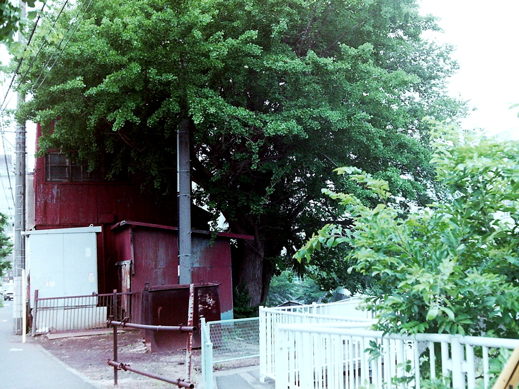 「レストア試写 04」 (film)
